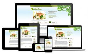 creación de paginas web profesionales